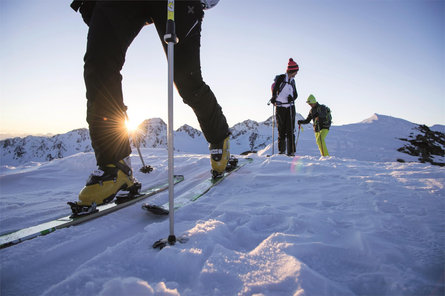 Ski moutaineering to Hohe Wiegenspitze (from Certosa/Karthaus) Schnals/Senales 1 suedtirol.info