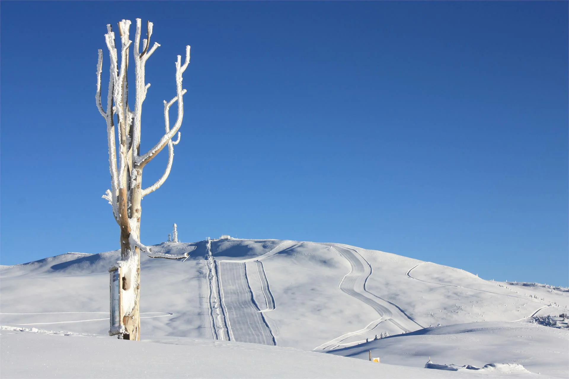 Escursione con le ciaspole al Corno del Renon Renon 1 suedtirol.info