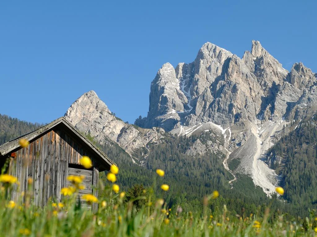 Sommerwanderung - Plätzwiese - Dürrenstein