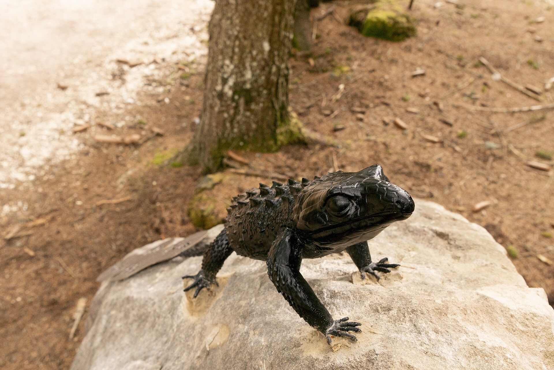 Dinosaurier3