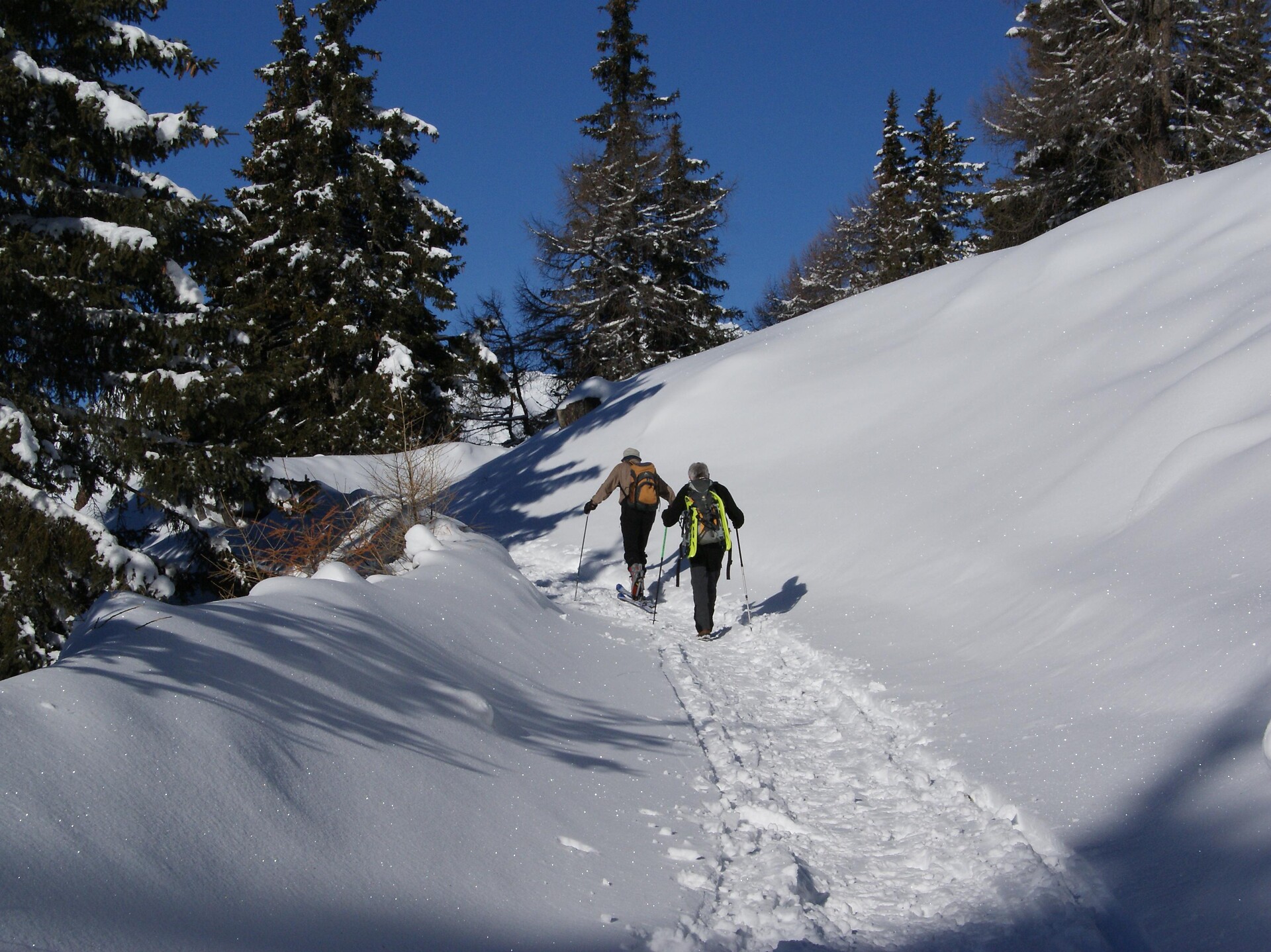Skitour to the Am Joch peak: A Panorama Peak in the Pfunderer Mountains Terenten/Terento 3 suedtirol.info