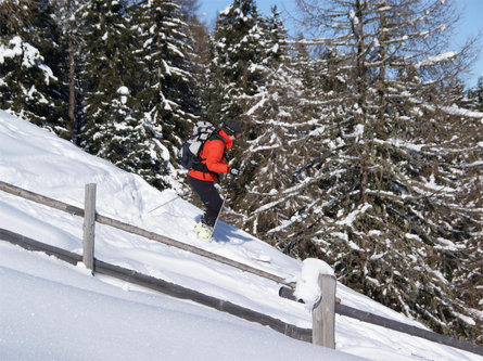 Skitour aufs Terner Joch Terenten 9 suedtirol.info