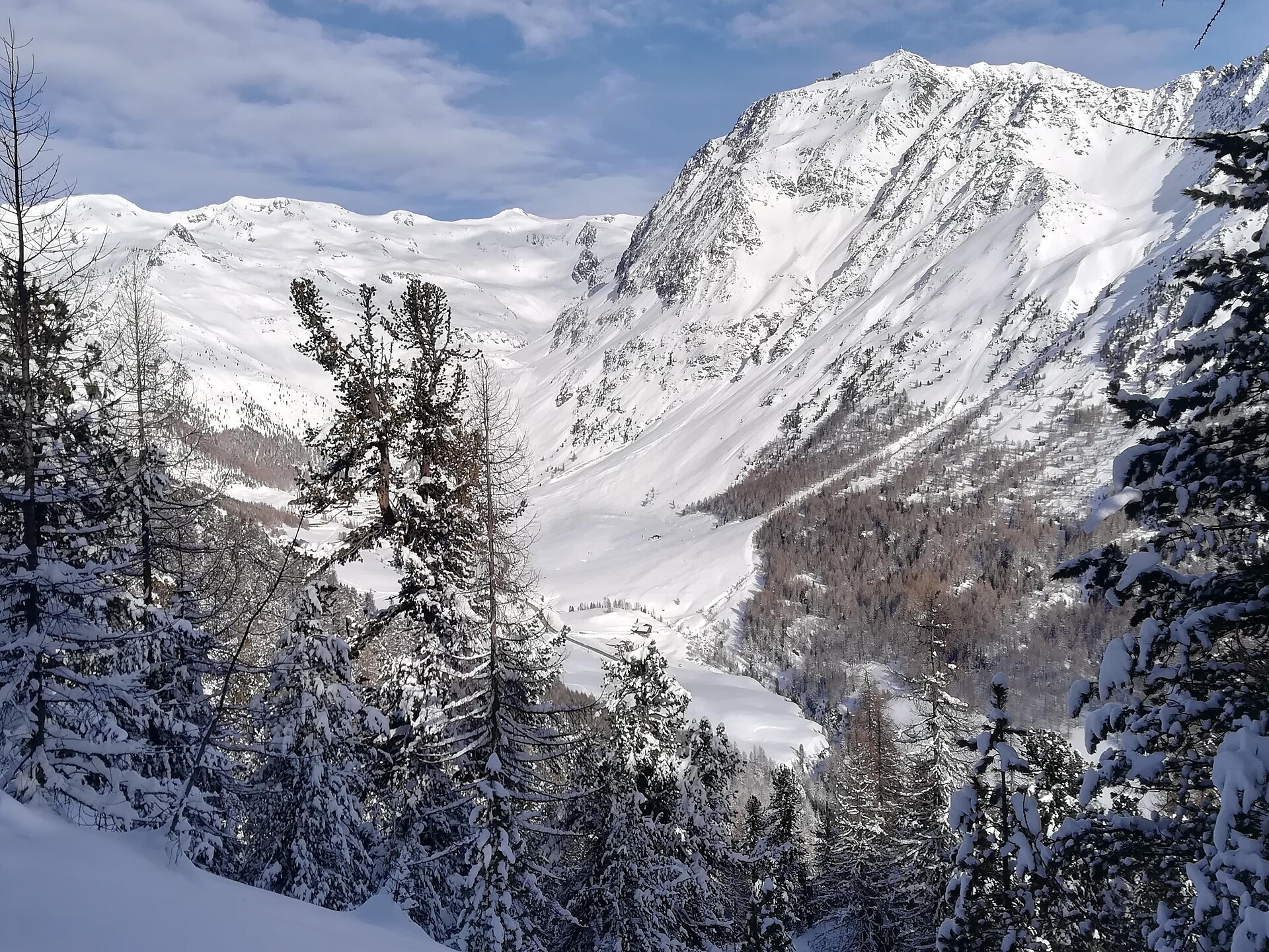 Bergl Alm