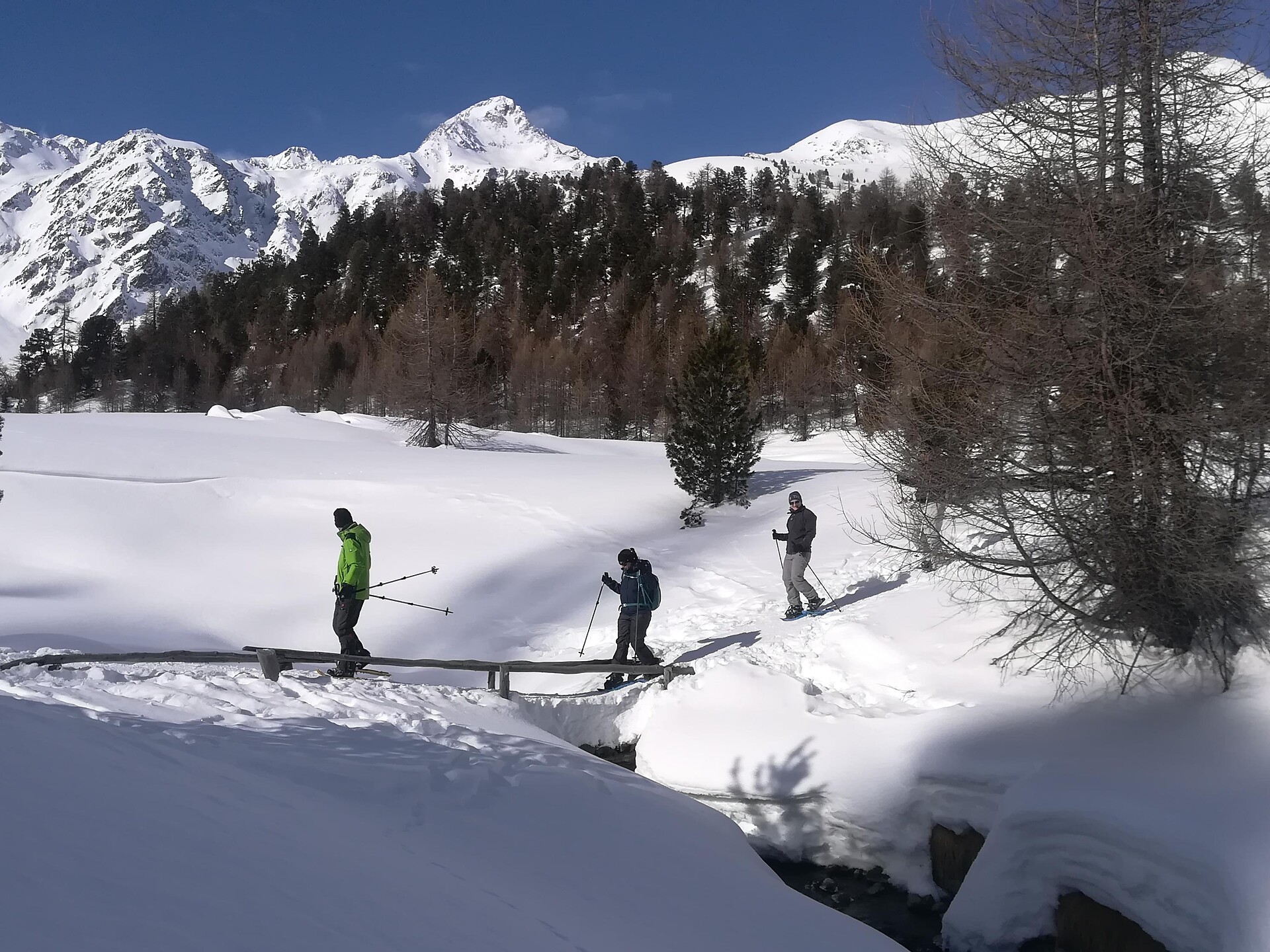 Bergl Alm