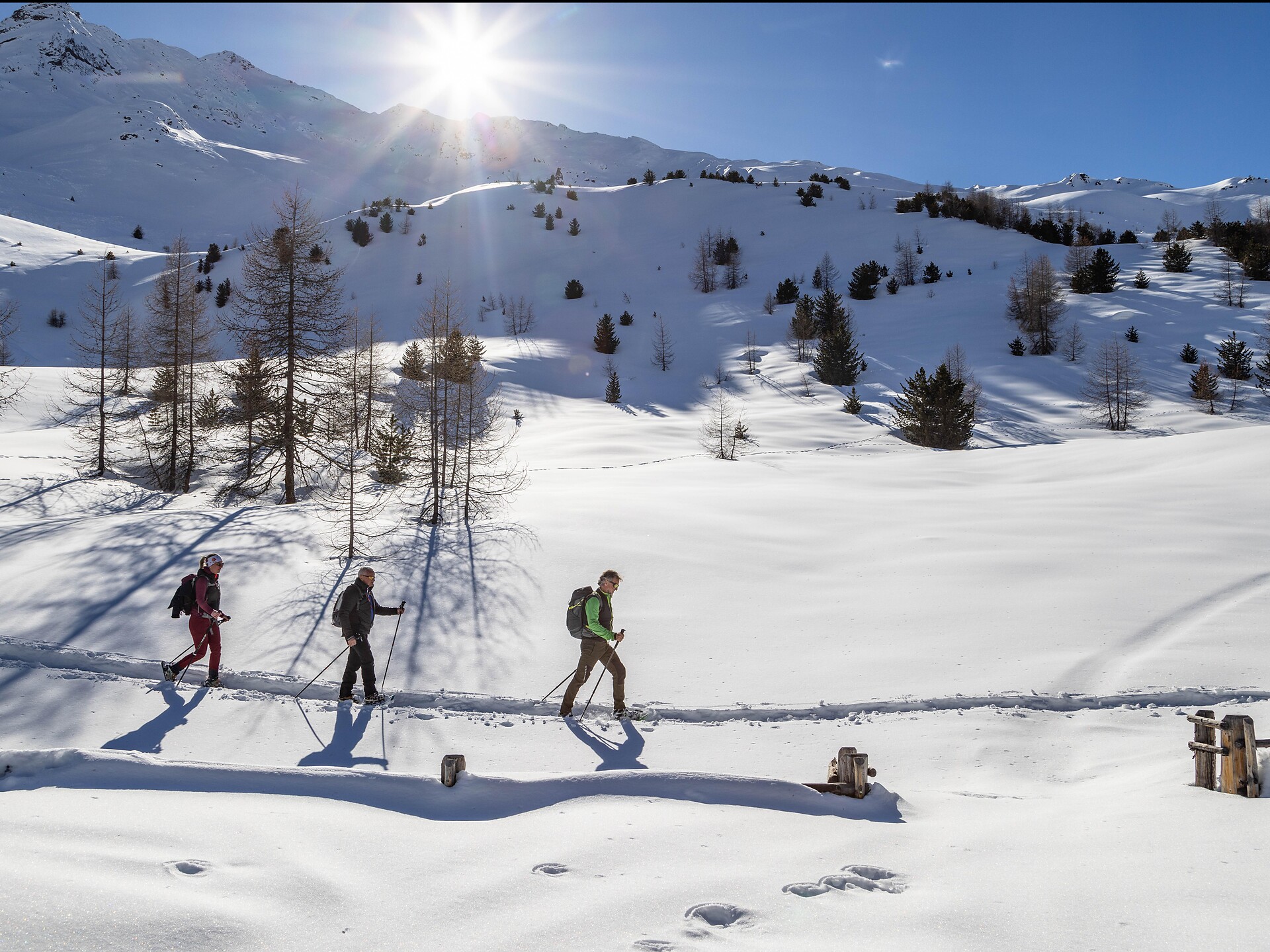 Ciaspolata malga Berglalm - Val Venosta - #2 - suedtirol.info
