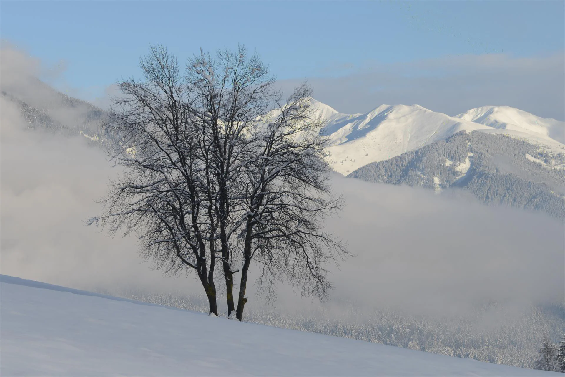Snowshoe hike Angerer hut - Lanzwiesen hut Olang/Valdaora 2 suedtirol.info
