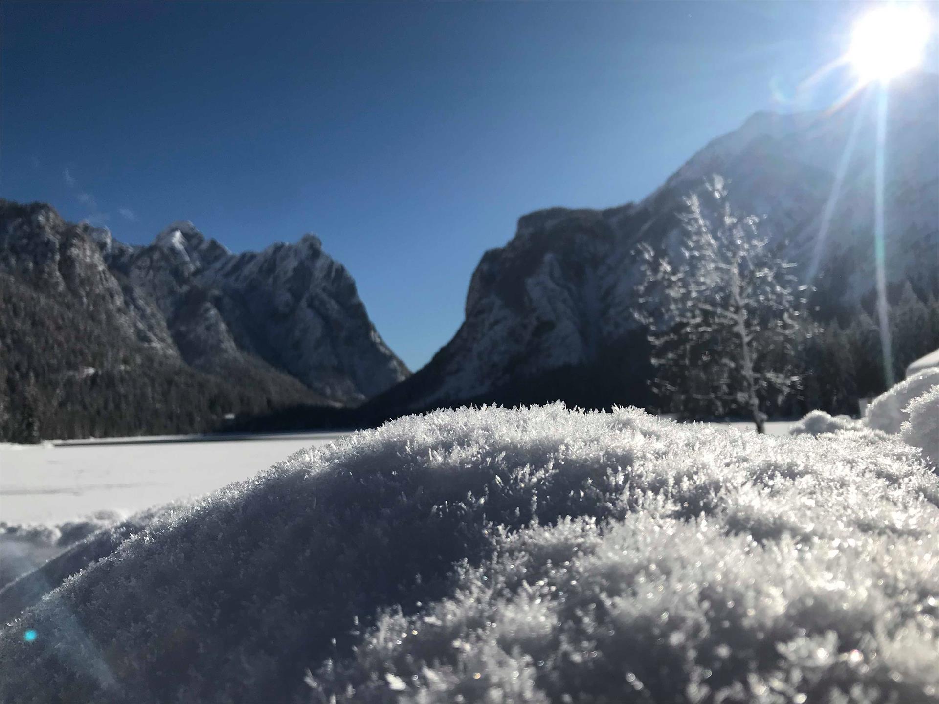 Ciaspolata: Val di Landro - Baumgartner Kaser Dobbiaco 1 suedtirol.info