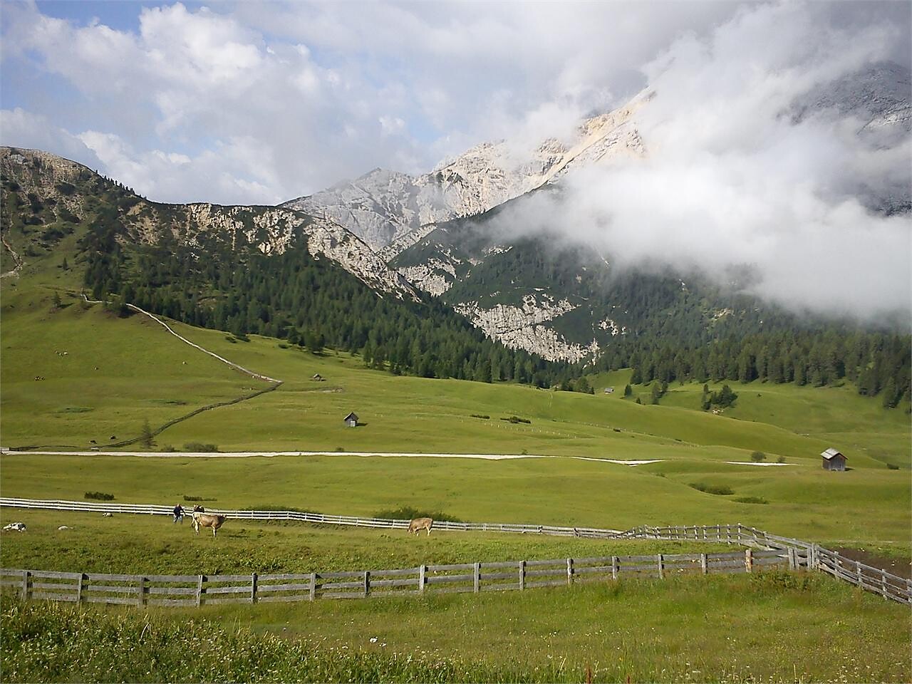 Plätzwiese