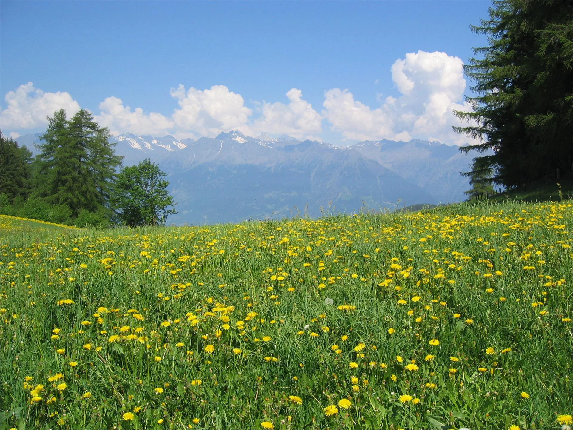 Sentiero delle leggende San Genesio Atesino 4 suedtirol.info