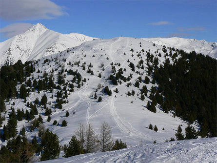Sci Alpinismo: Monte Luta e Monte Salmone a Tesido Monguelfo-Tesido 1 suedtirol.info