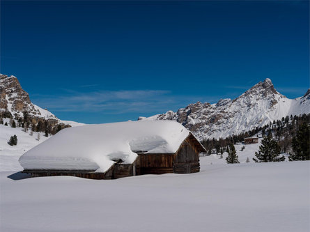 Schneeschuhwanderung zur Fanes-Alm San Vigilio 3 suedtirol.info