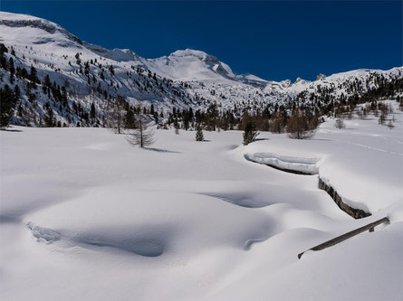 Schneeschuhwanderung zur Fanes-Alm San Vigilio 2 suedtirol.info