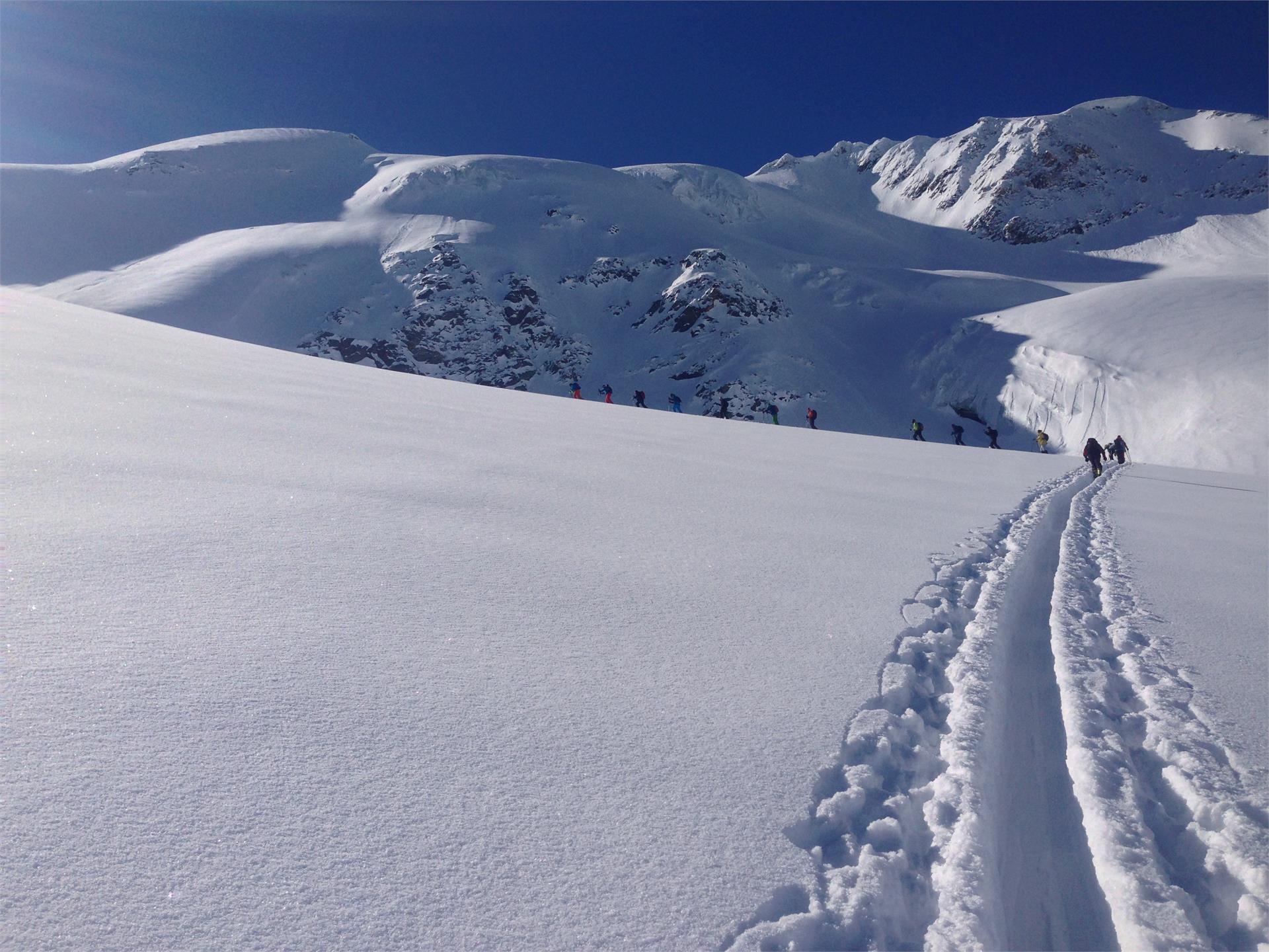 Ski Tour to the Suldenspitze Peak Stilfs/Stelvio 1 suedtirol.info