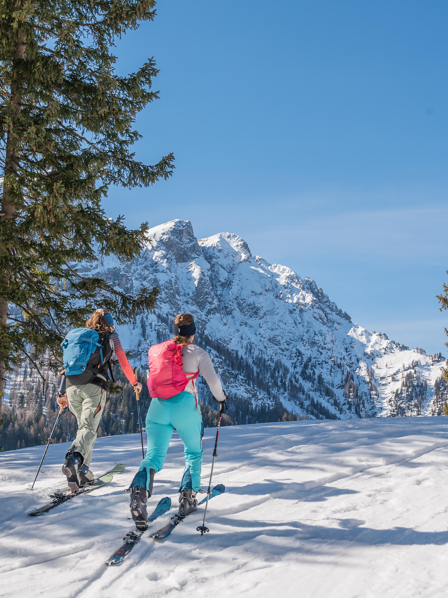 Skitouring trail Brunst hut - Dolomites Region Kronplatz/Plan de Corones - #5 - suedtirol.info