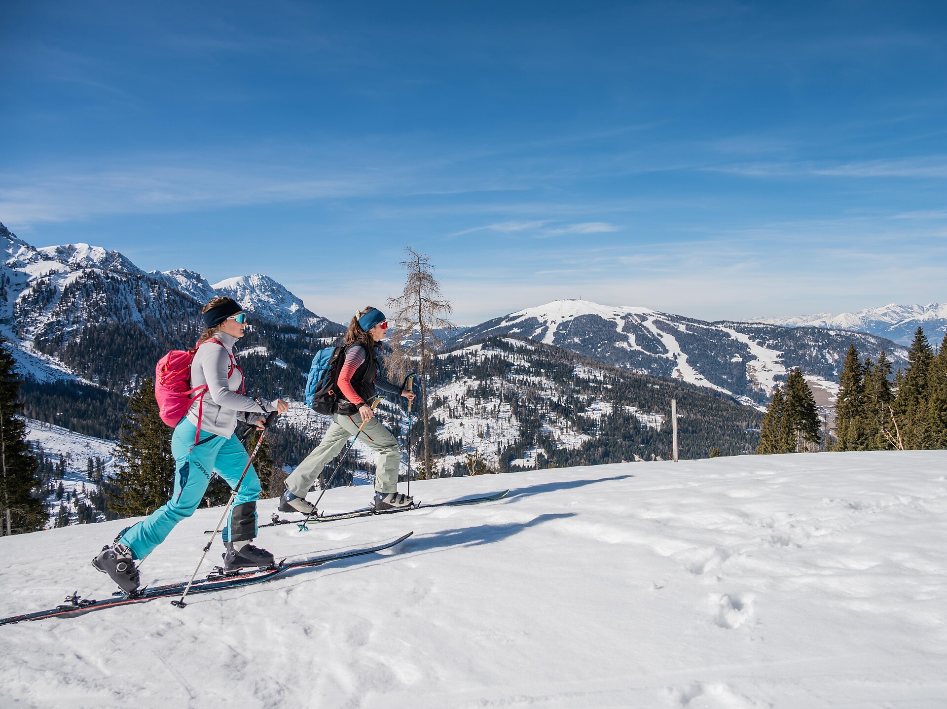 Skitouring trail Brunst hut - Dolomites Region Kronplatz/Plan de Corones - #2 - suedtirol.info