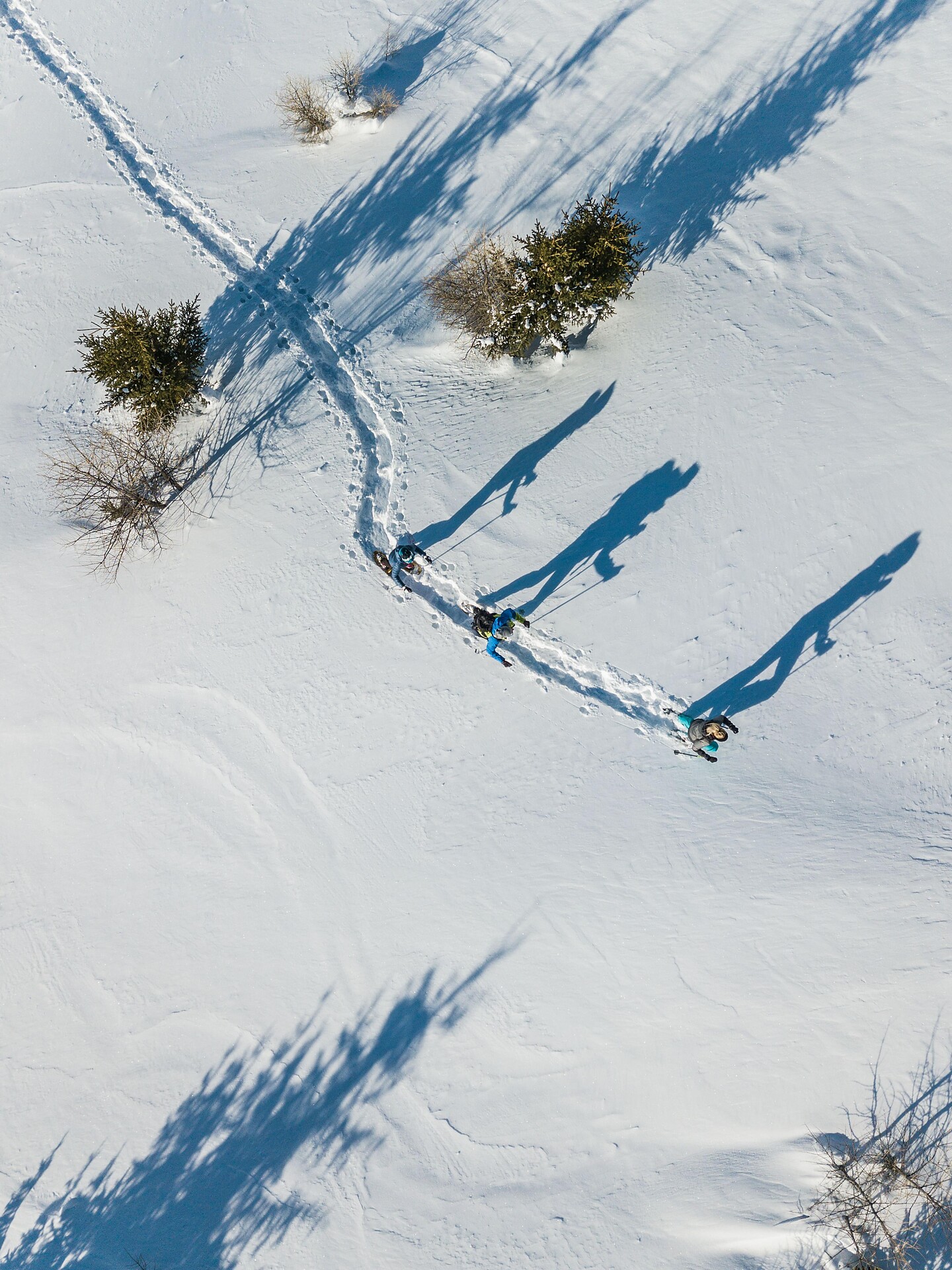 Schneeschuh 2018 ©TV Gsieser Tal_Harald Wisthaler