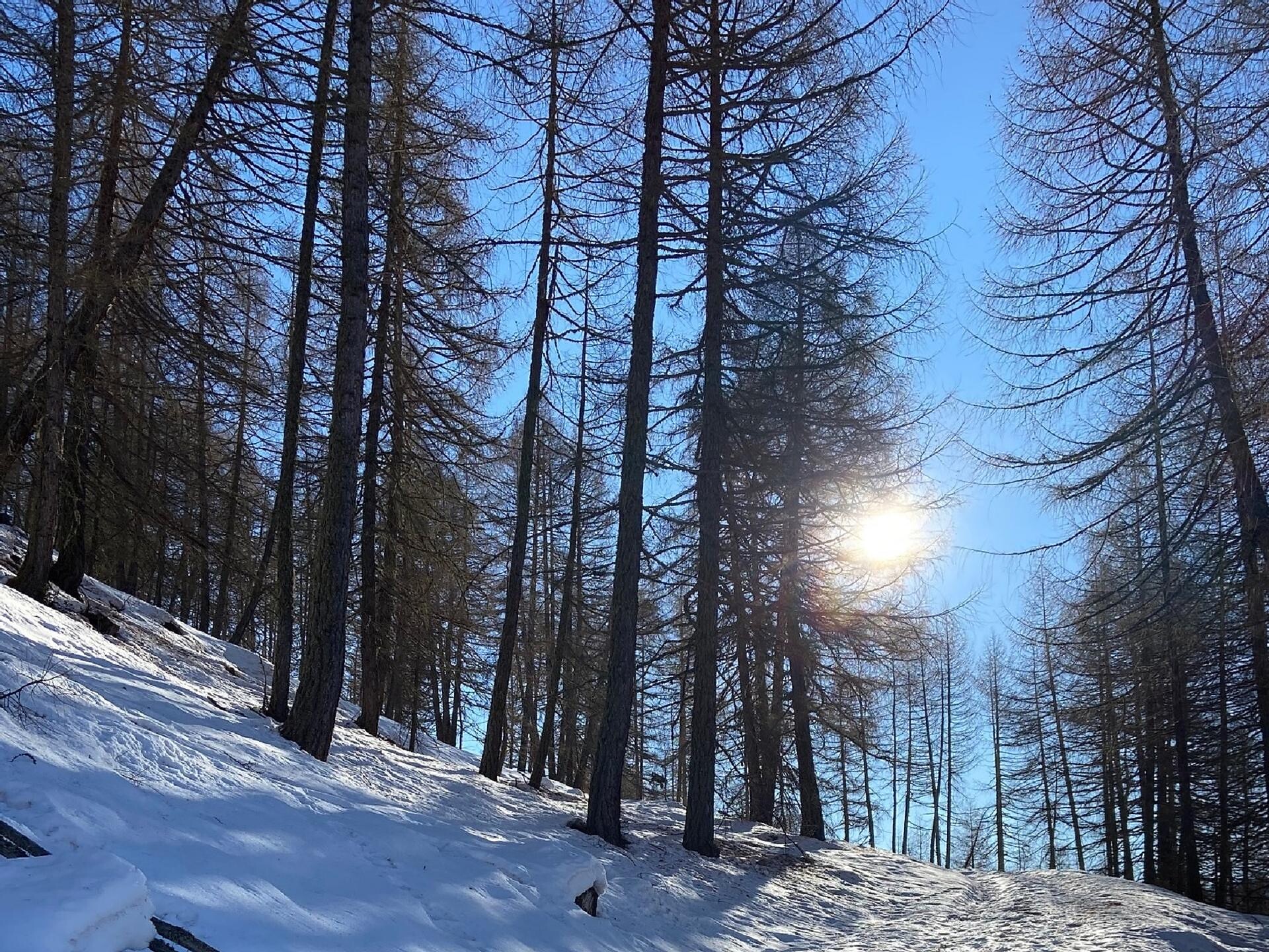 Sentiero invernale Mastaun