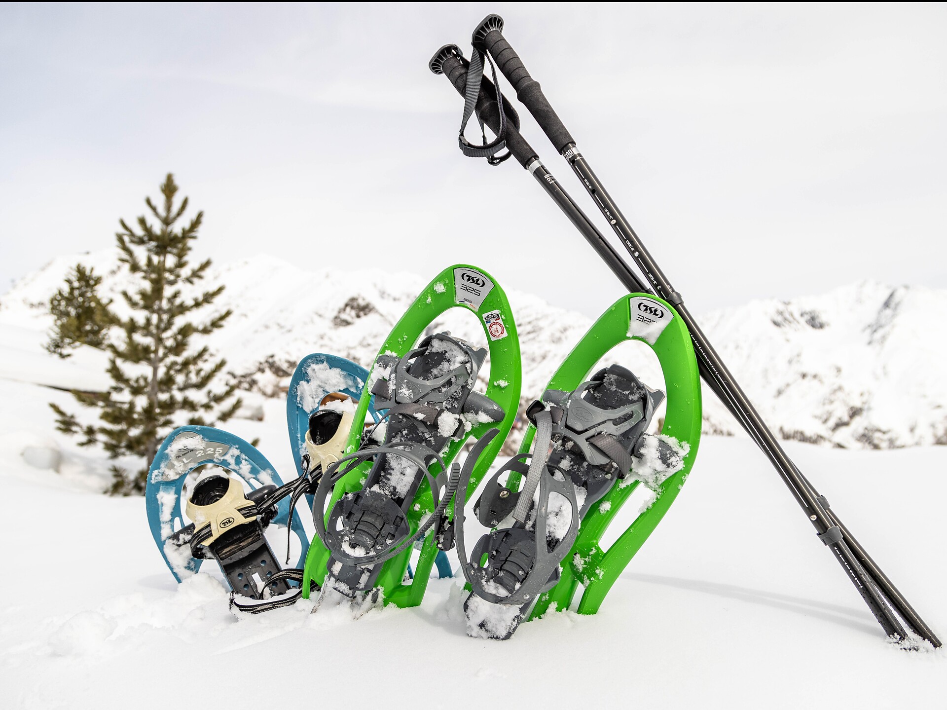 Ciaspolata malga Mastaun - Val Venosta - #1 - suedtirol.info