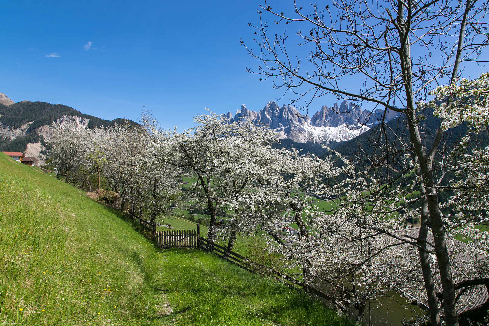 Panoramic trail