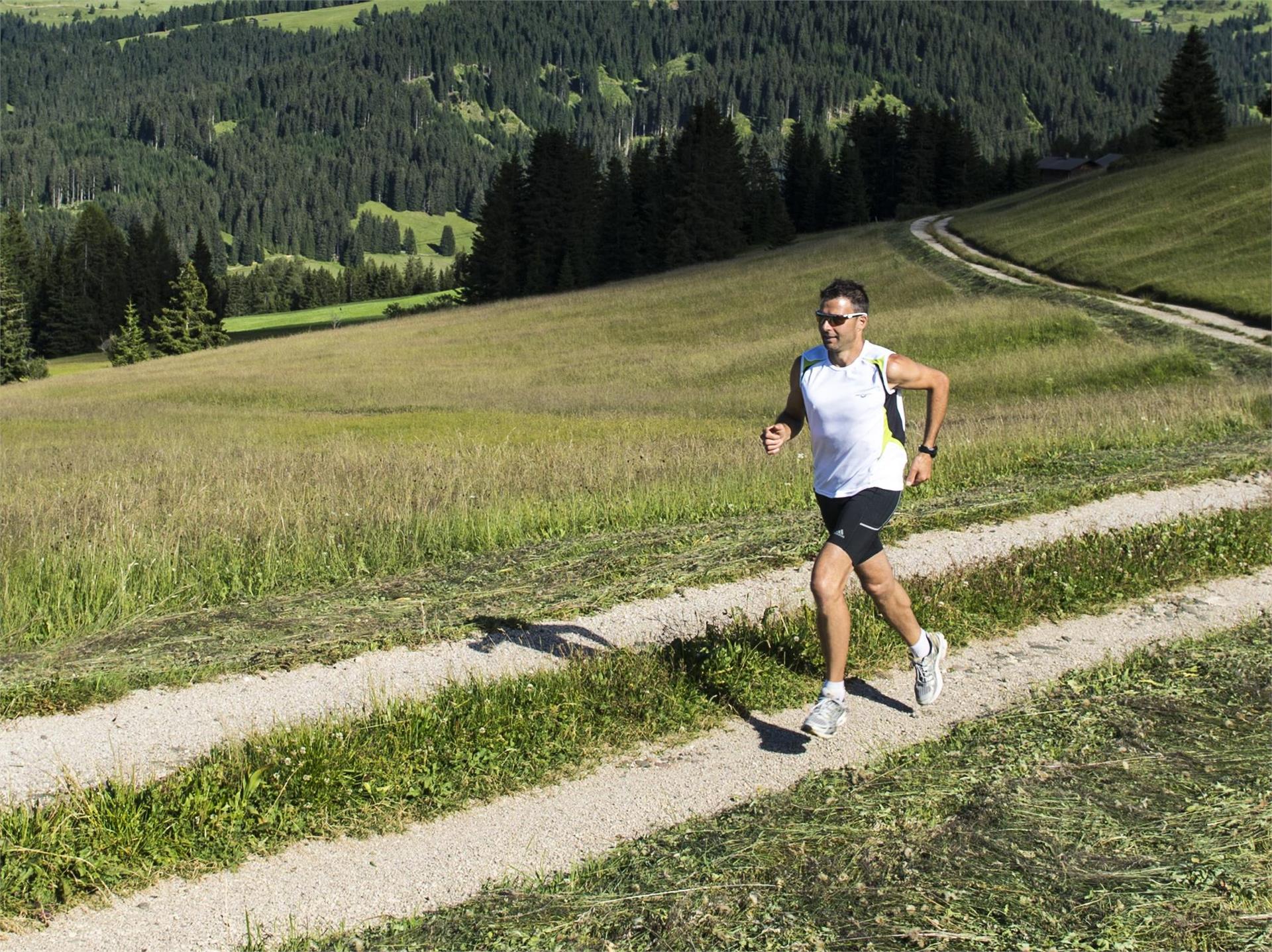 St. Zyprian-Loop Tiers am Rosengarten/Tires al Catinaccio 1 suedtirol.info