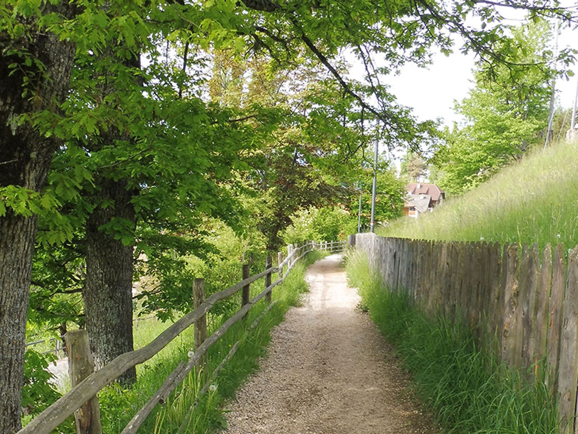 Ronda della frescura