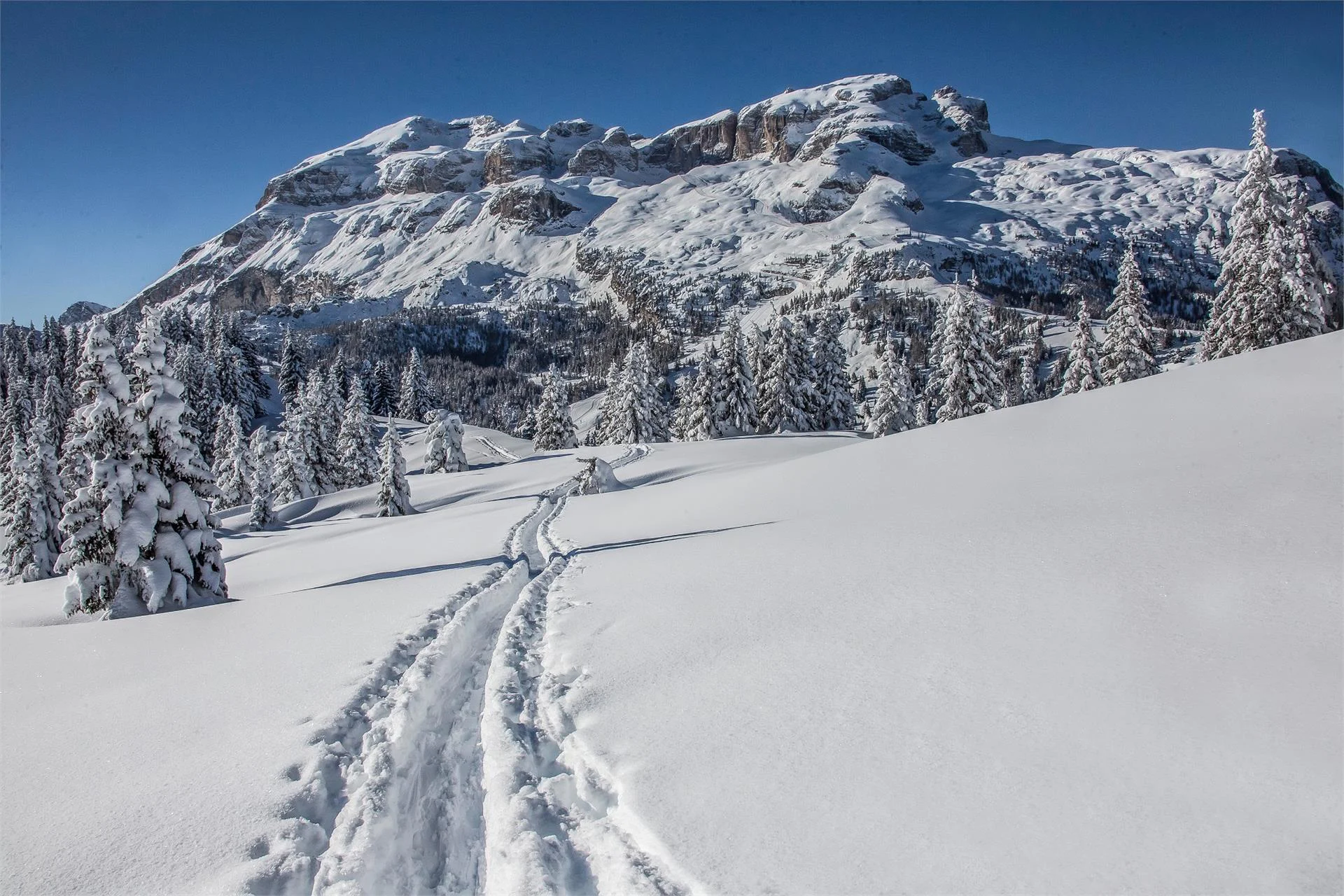 Itinerario di scialpinismo Planac - La Marmotta Corvara 3 suedtirol.info
