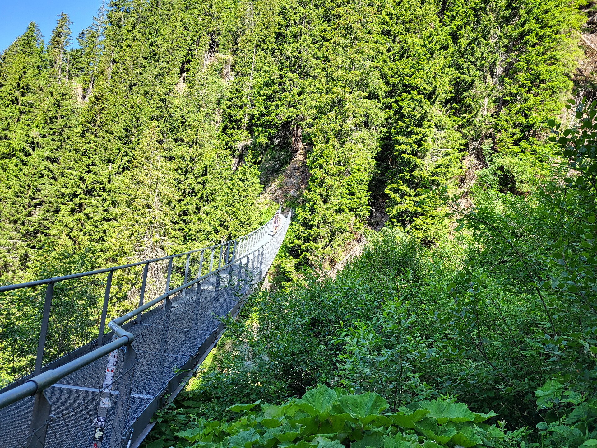 Escursione ai Laghi di Sopranes
