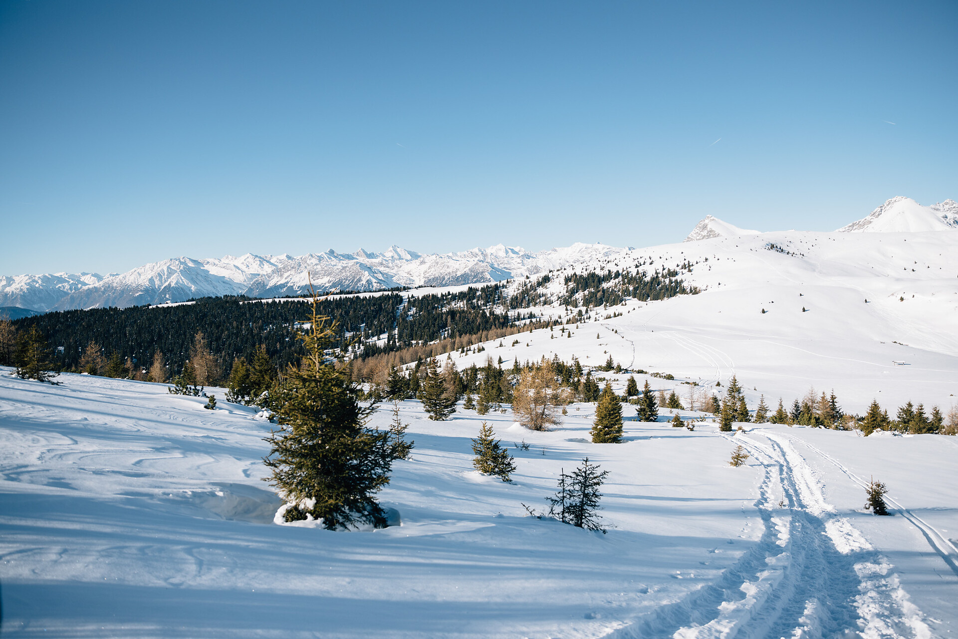 Winterwandern hoch über Meran