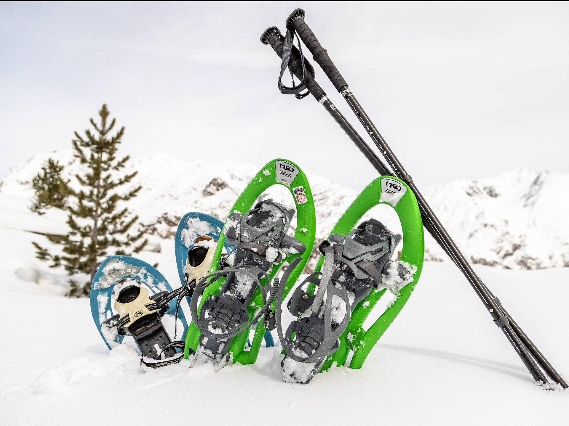 Schneeschuhwanderung Lafetzalm - Vinschgau - #3 - suedtirol.info