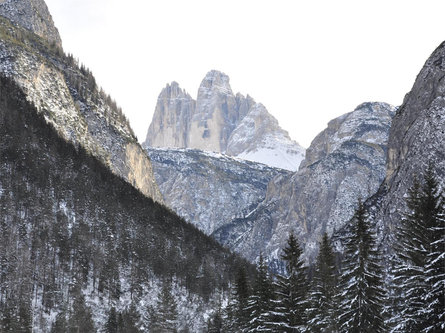 Snowshoe-hiking tour: View of the Three Peaks/Landro - Rienztal/Valle della Rienza Sexten/Sesto 2 suedtirol.info