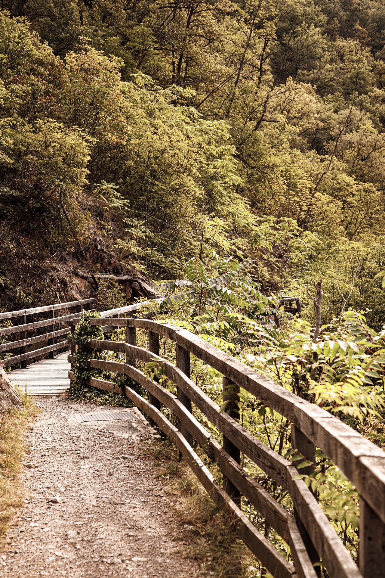 Wanderweg, Sonnenberg