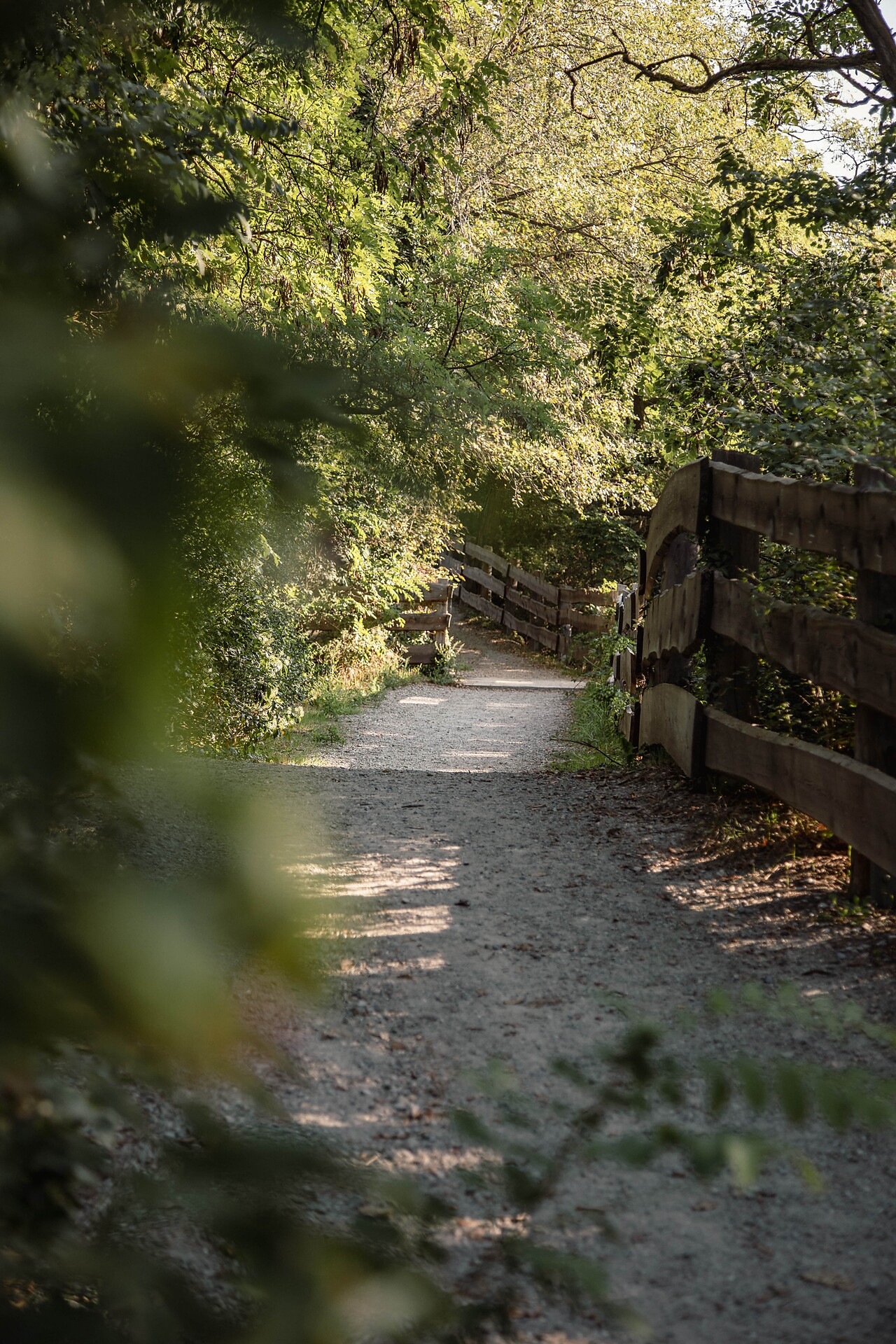 Wanderweg, Sonnenberg