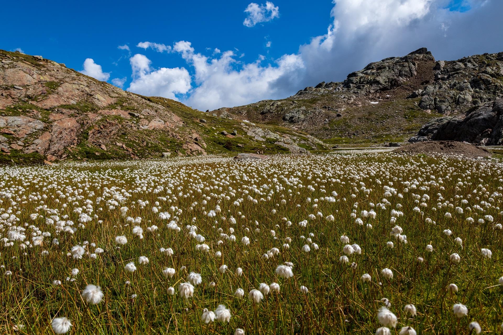 Escursione ai sette laghi Racines 2 suedtirol.info