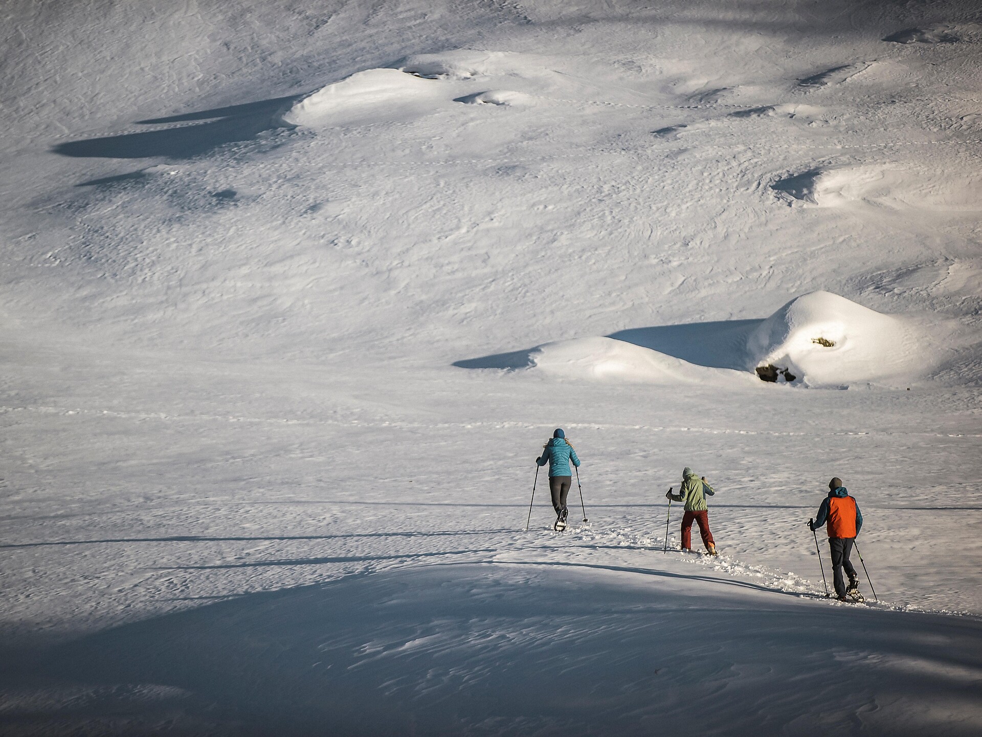 Schneeschuhwanderung zur Moaralm - Ahrntal - #1 - suedtirol.info