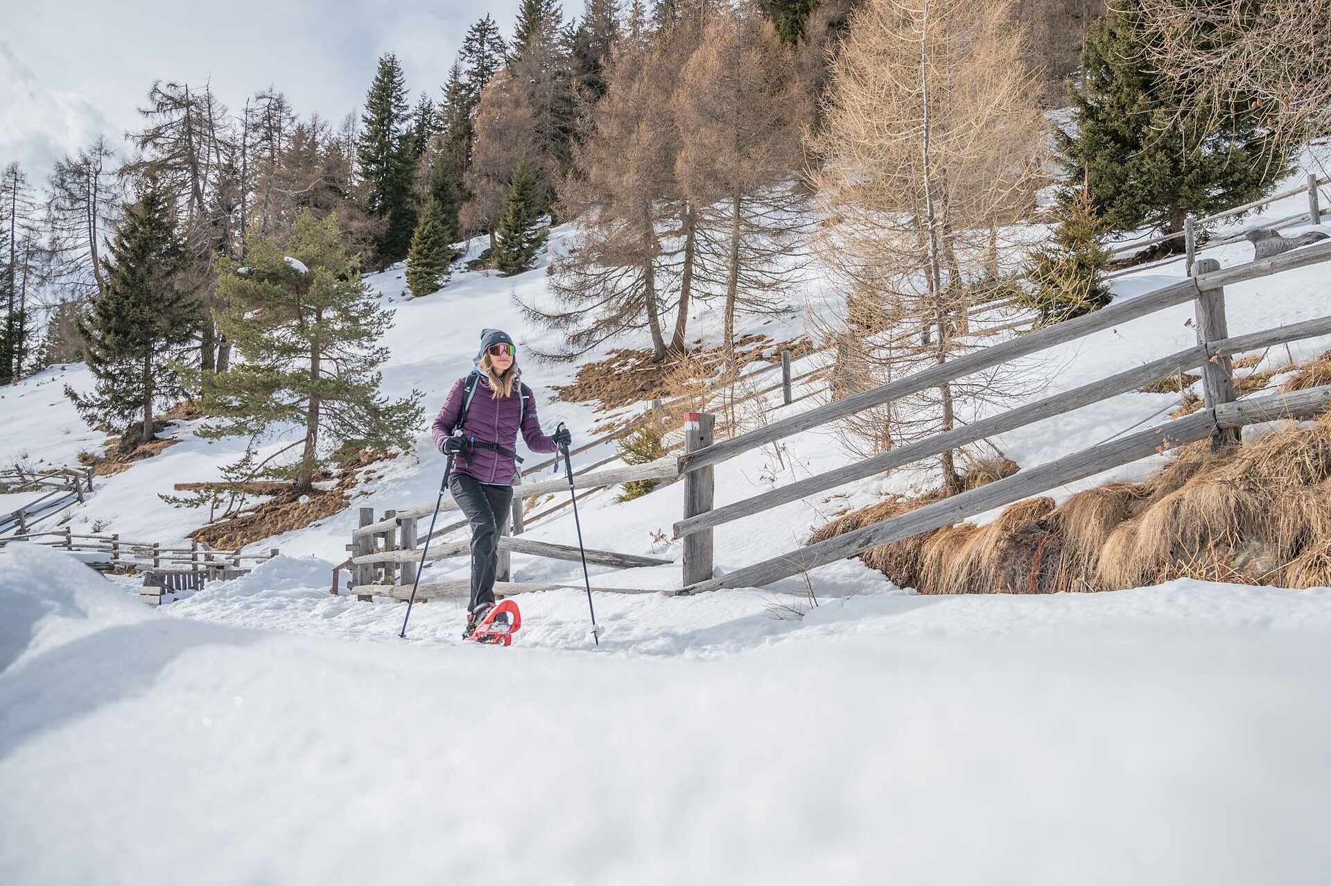 Snow shoe hiking tour at the Putzenhöe - Dolomites Region Kronplatz/Plan de Corones - #1 - suedtirol.info