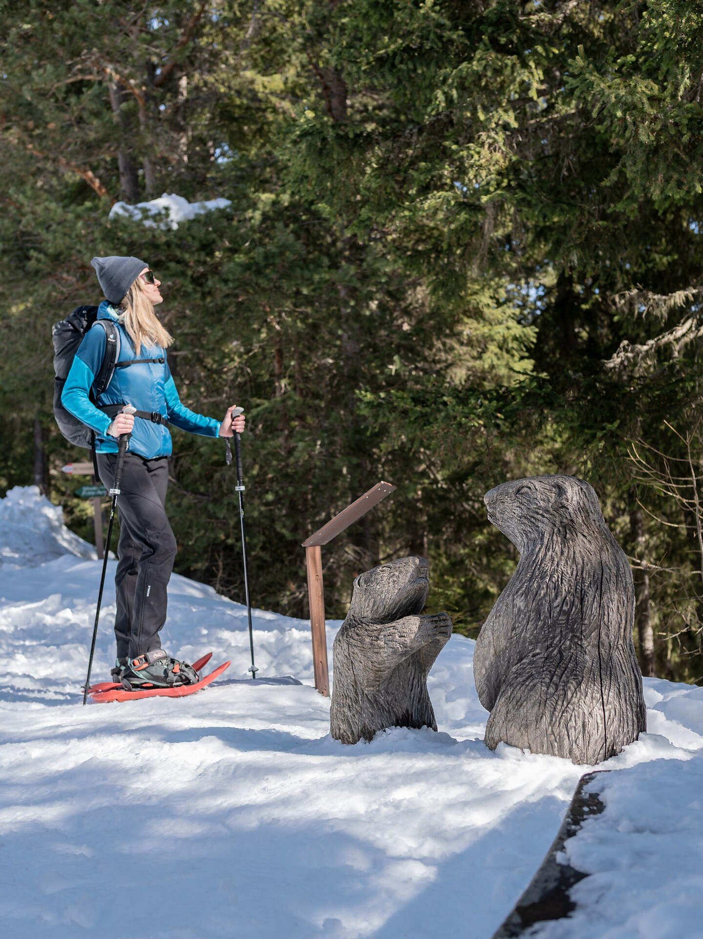 Snow shoe hiking tour at the Putzenhöe - Dolomites Region Kronplatz/Plan de Corones - #2 - suedtirol.info