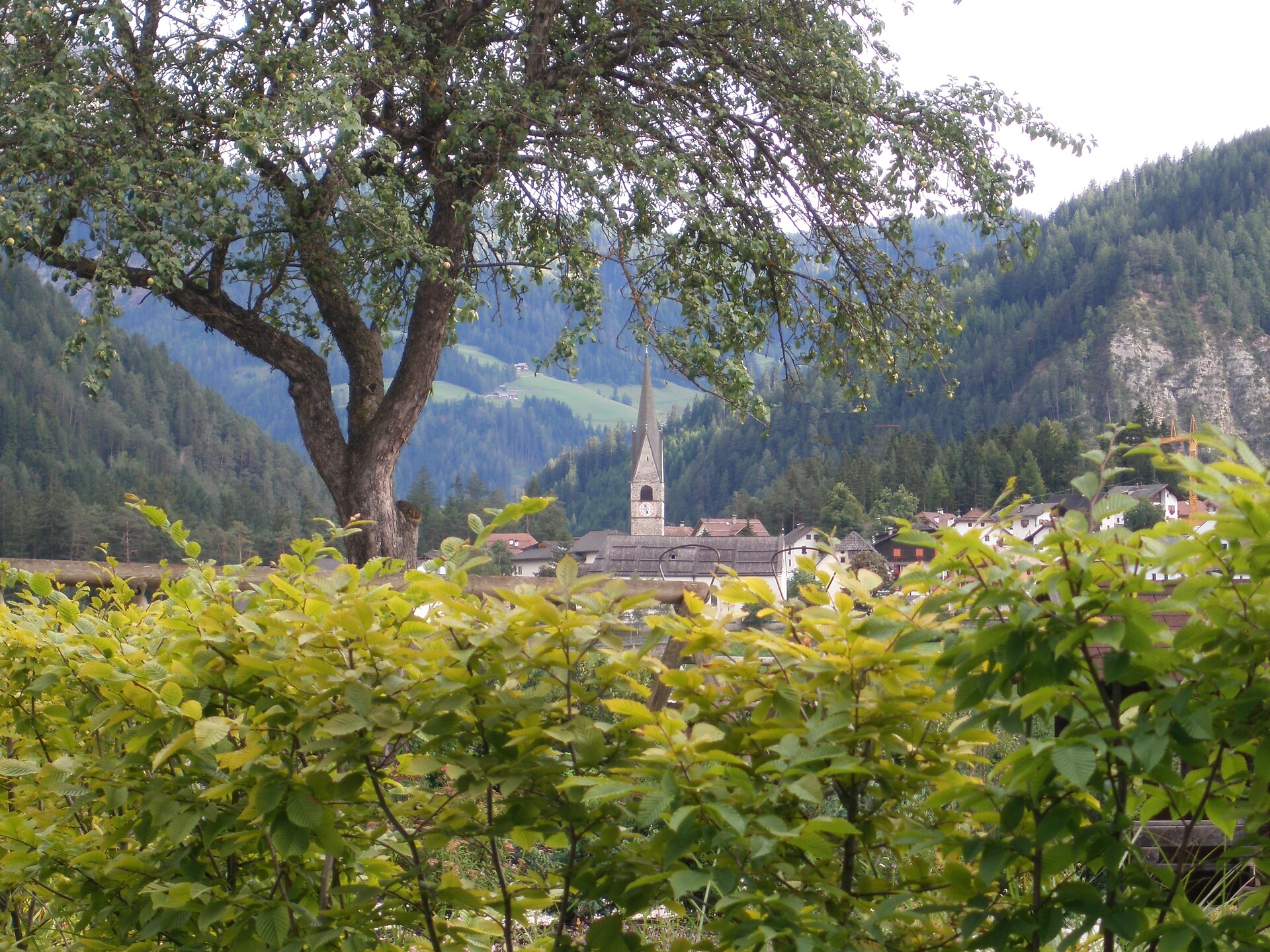 View from Piculin