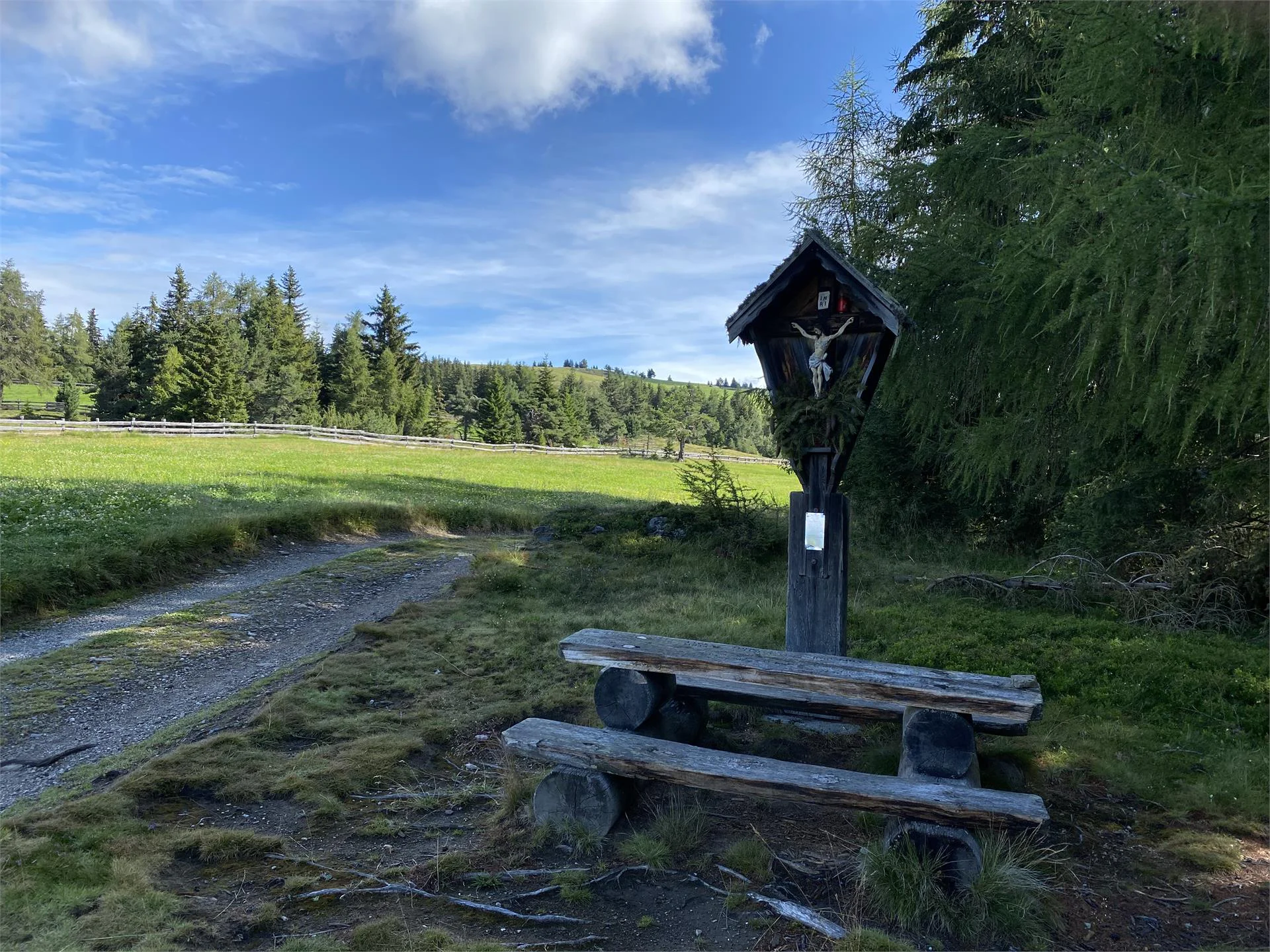 Escursione panoramica piena di favole sull'Alpe di Luson Luson 2 suedtirol.info
