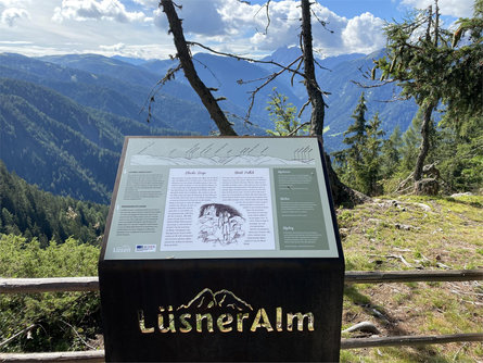 Sagenhafte Panoramawanderung über die Lüsner Alm Lüsen 3 suedtirol.info