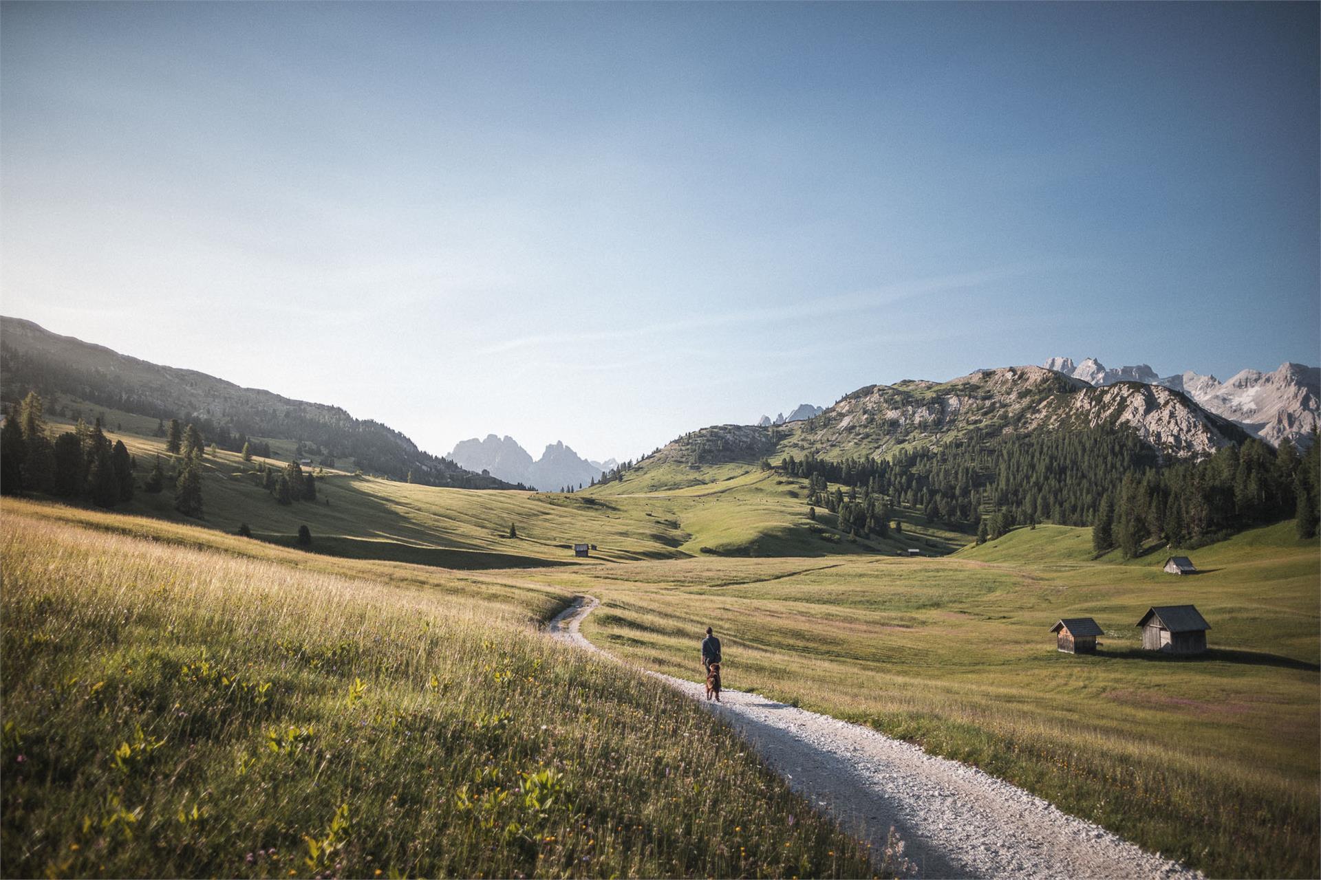Sommerwanderung - Brückele - Plätzwiese Prags 1 suedtirol.info