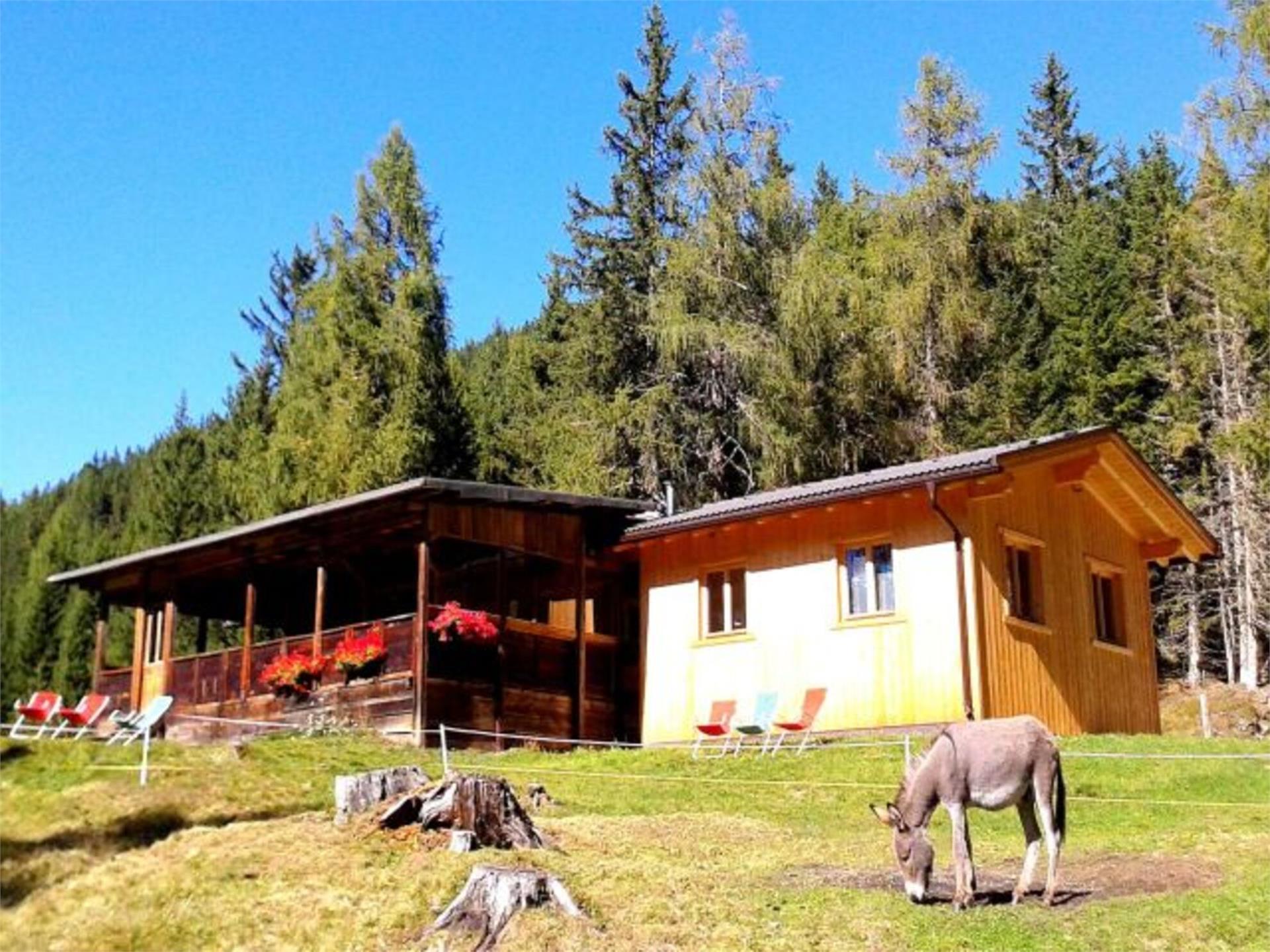 Sommer-Rundwanderung: Lachwiesenhütte Toblach 1 suedtirol.info