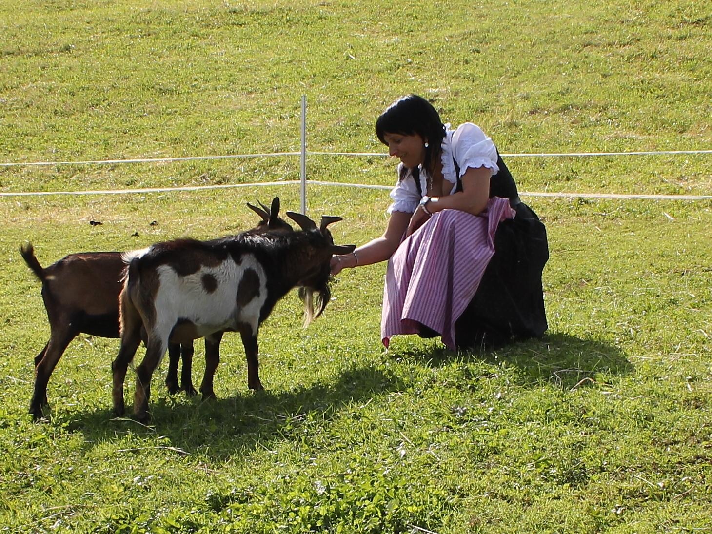 Fattoria per bambini a Lanzenschuster