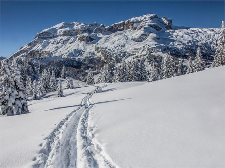 Schneeschuhwanderung auf dem Jäger-Weg in Cherz-Plateau Corvara 1 suedtirol.info