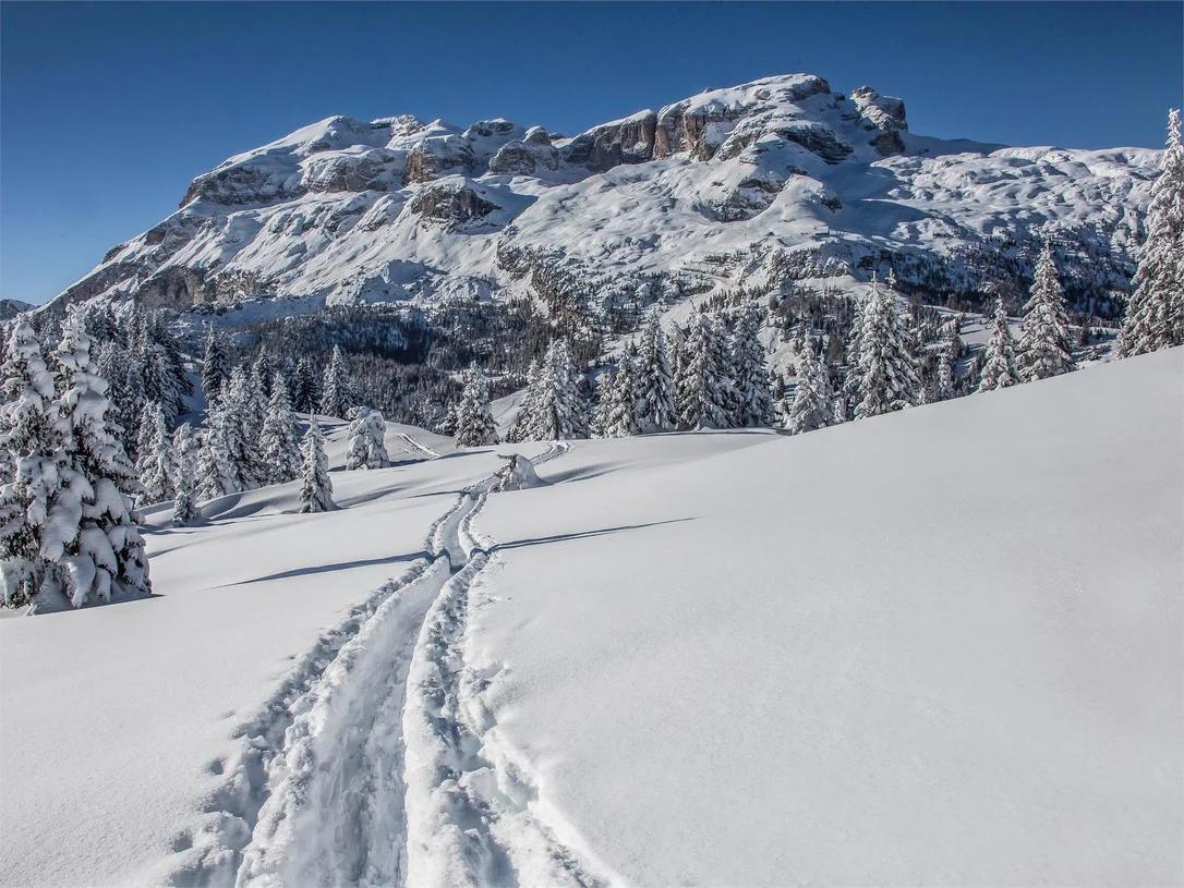 Schneeschuhwanderung auf dem Jäger-Weg in Cherz-Plateau