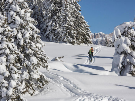 Snowshoe hike on the hunters' trail towards the Cherz Plateau Corvara 3 suedtirol.info