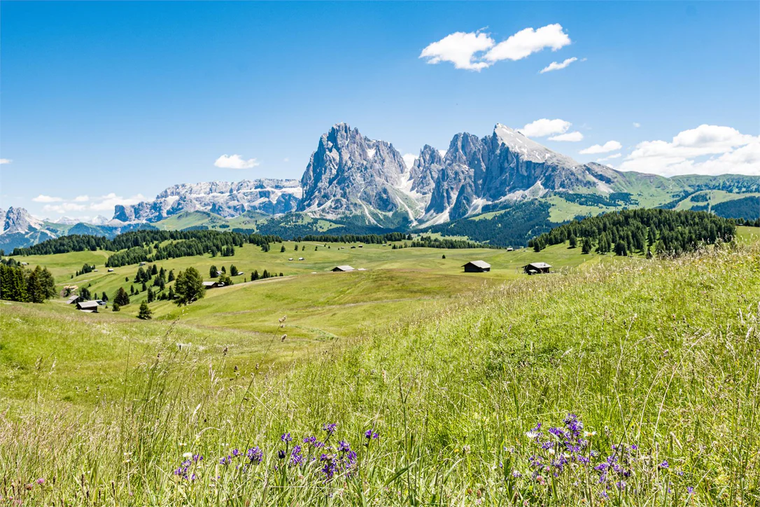 Tour on the Seiser Alm