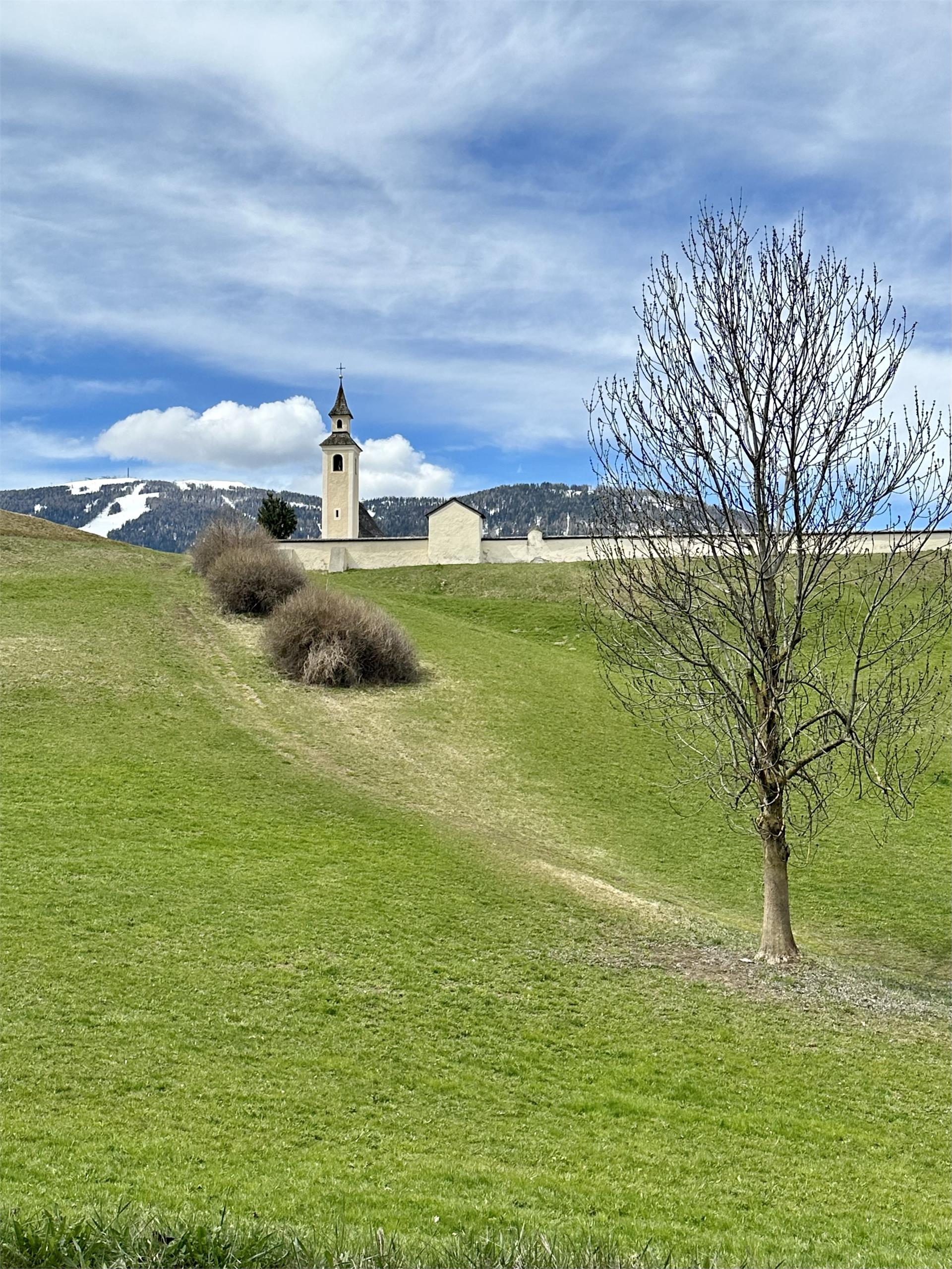 Spaziergang von Olang nach Welsberg Olang 1 suedtirol.info