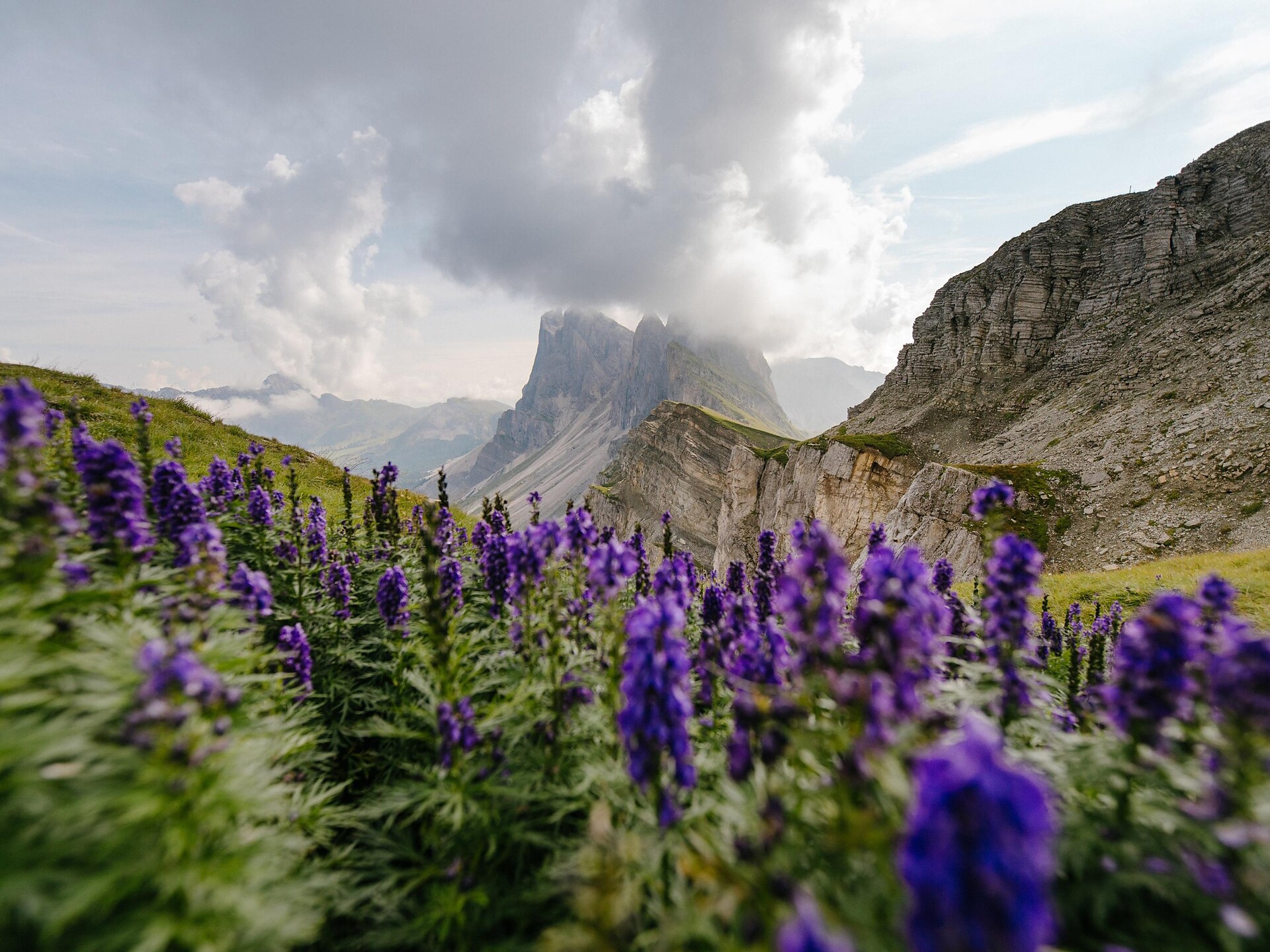 Seceda - Ridge Line da S. Cristina per Cristauta - Troi dla Schirlates - Regione dolomitica Val Gardena - #4 - suedtirol.info