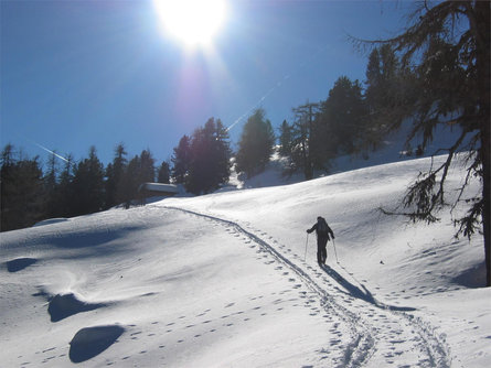 Ski moutaineering to Mountain Stotz Schnals/Senales 1 suedtirol.info