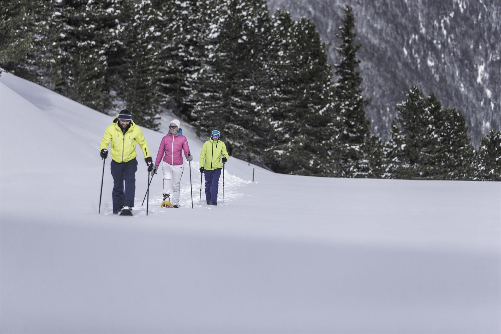 Snowshoe hike | Trejer Alm Sand in Taufers/Campo Tures 1 suedtirol.info